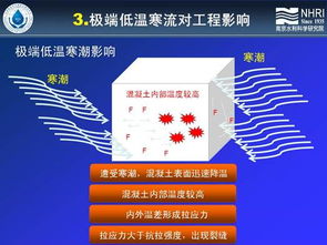 科技賦能未來 第六屆新技術推廣會掀起創新熱潮