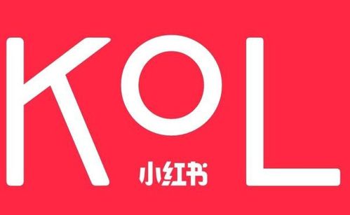 蕓眾科技 借力小紅書KOL達(dá)人，打造產(chǎn)品推廣種草與測(cè)評(píng)新范式